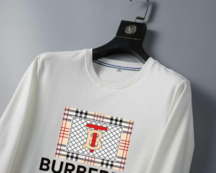 Picture of Burberry Sweatshirt _SKUBurberryM-3XL25tn12930735
